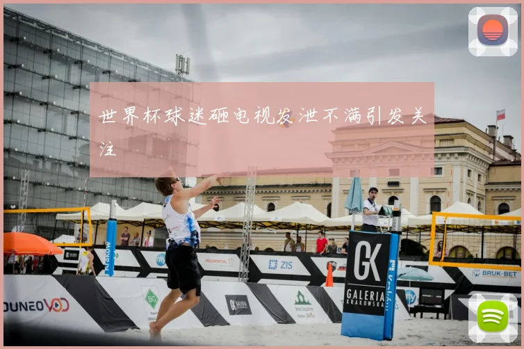 世界杯球迷砸电视发泄不满引发关注