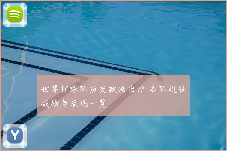 世界杯球队历史数据出炉 各队过往战绩与表现一览