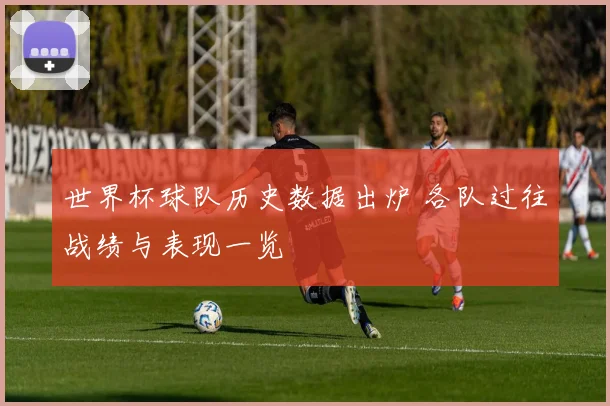 世界杯球队历史数据出炉 各队过往战绩与表现一览