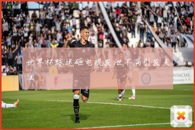世界杯球迷砸电视发泄不满引发关注
