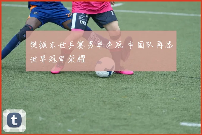 樊振东世乒赛男单夺冠 中国队再添世界冠军荣耀