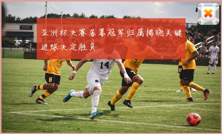 亚洲杯决赛落幕冠军归属揭晓关键进球决定胜负